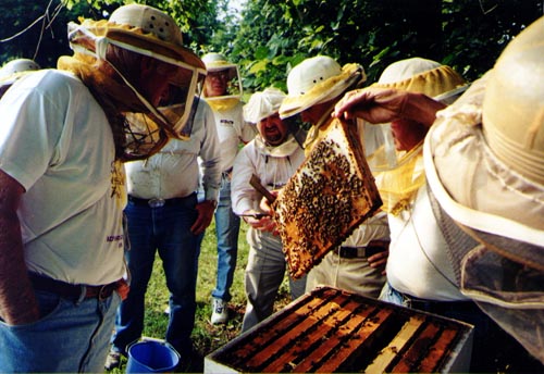 Bill's vacation photo.