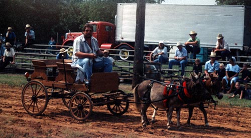 Bill's vacation photo.