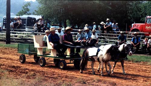 Bill's vacation photo.