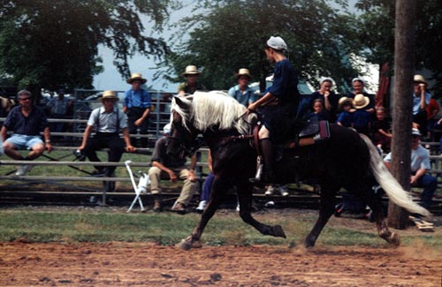 Bill's vacation photo.