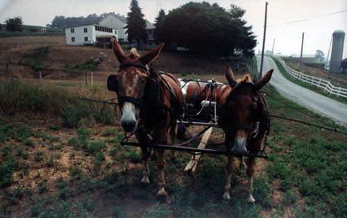 Bill's vacation photo.