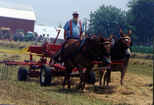 Bill's vacation photo.