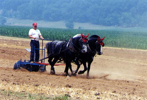 Bill's vacation photo.