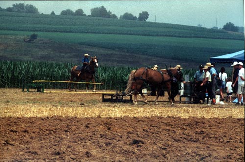 Bill's vacation photo.