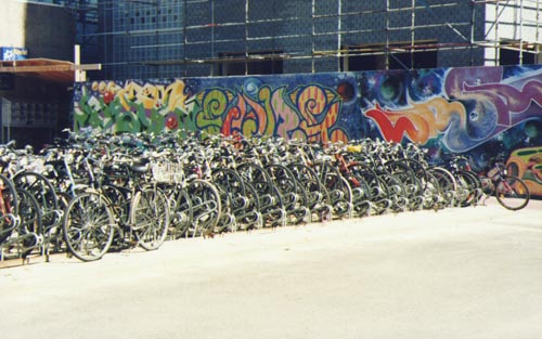 Miriam's vacation photo.