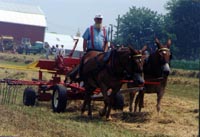 Bill's vacation photo thumbnail.