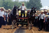 Bill's vacation photo thumbnail.