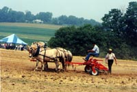 Bill's vacation photo thumbnail.