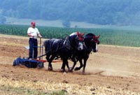 Bill's vacation photo thumbnail.