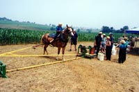 Bill's vacation photo thumbnail.