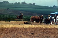 Bill's vacation photo thumbnail.